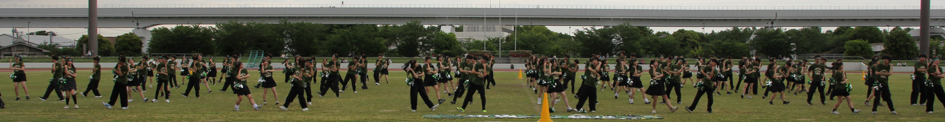 緑 (1).JPG